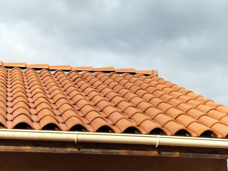 Lavage Traitement des tuiles terre cuite à Lissieu dans l'Ouest Lyonnais