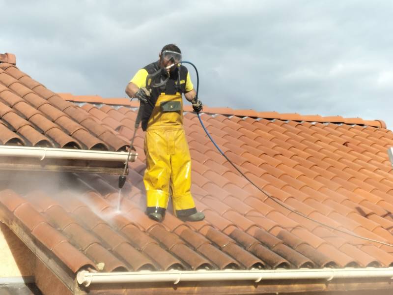 Lavage Traitement des tuiles terre cuite à Lissieu dans l'Ouest Lyonnais