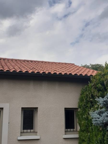 Nettoyage de votre toit avant la pose de panneaux solaire à Lyon