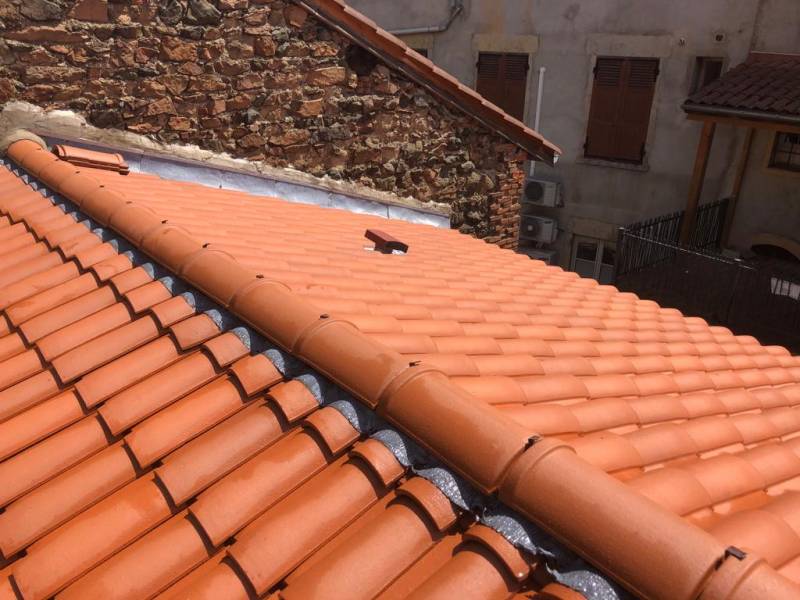 Lavage Traitement toiture à Sain Bel