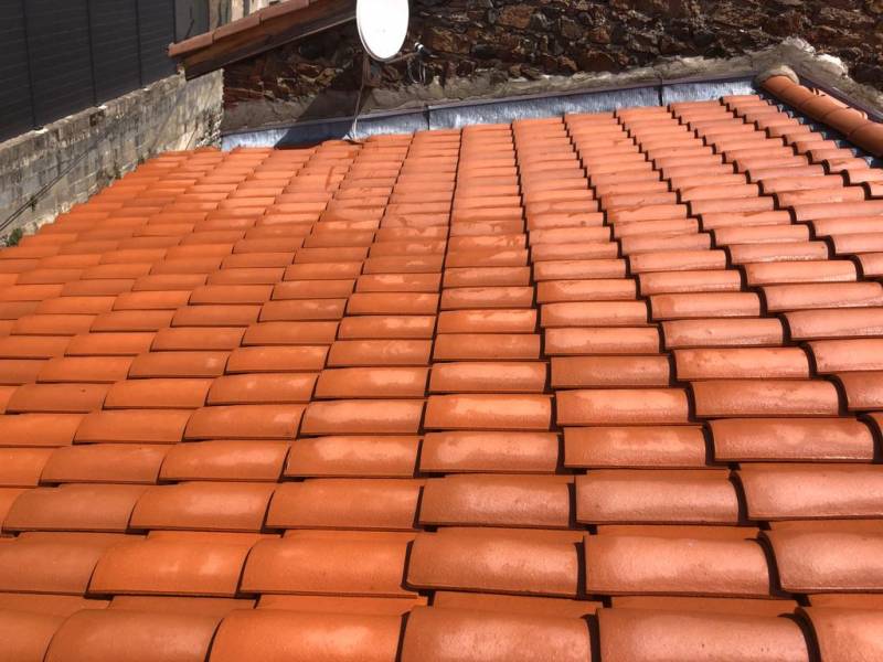 Lavage Traitement toiture à Sain Bel