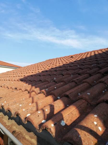 Nettoyage de toiture avec traitement sur la Commune du Bois d'oingt