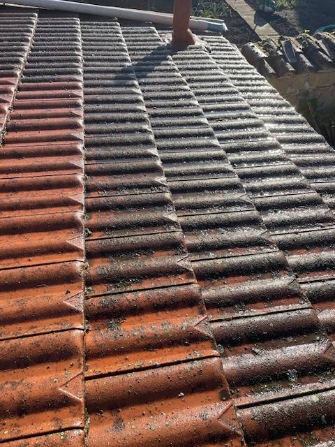 Expertise : Pourquoi confier le démoussage de son toit à un pro à La Tour-de-Salvagny près de Lyon ?