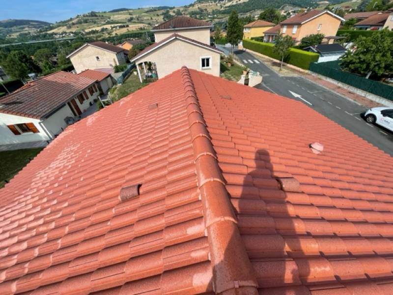 Nettoyage d'une toiture sur la communede Vindry-sur-Turdine sur Turdine