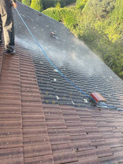 Matériaux : Tuiles béton ou terre cuite, comment adapter le nettoyage à Craponne près de Lyon ?