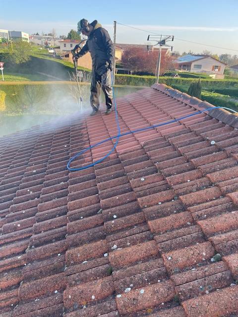 :Nettoyage de toiture pas chère et rapide avant et aprés travaux à Lentilly