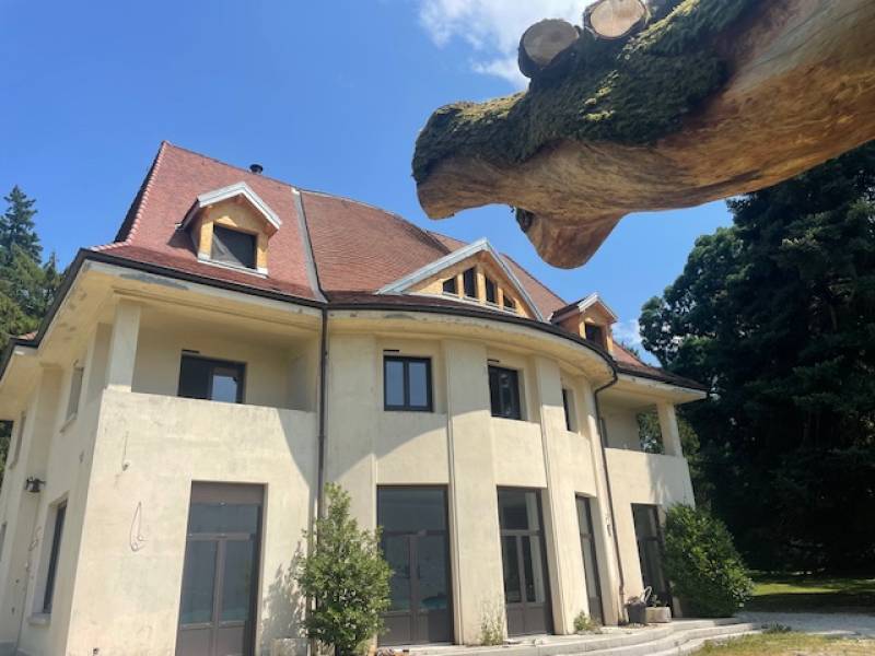 Pourquoi nettoyer votre toiture à Dommartin